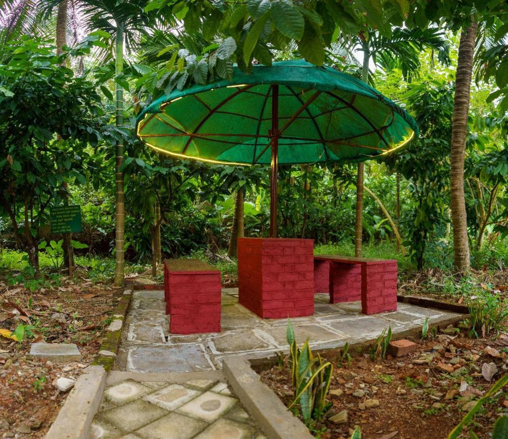 Homestay Jasmine Land *