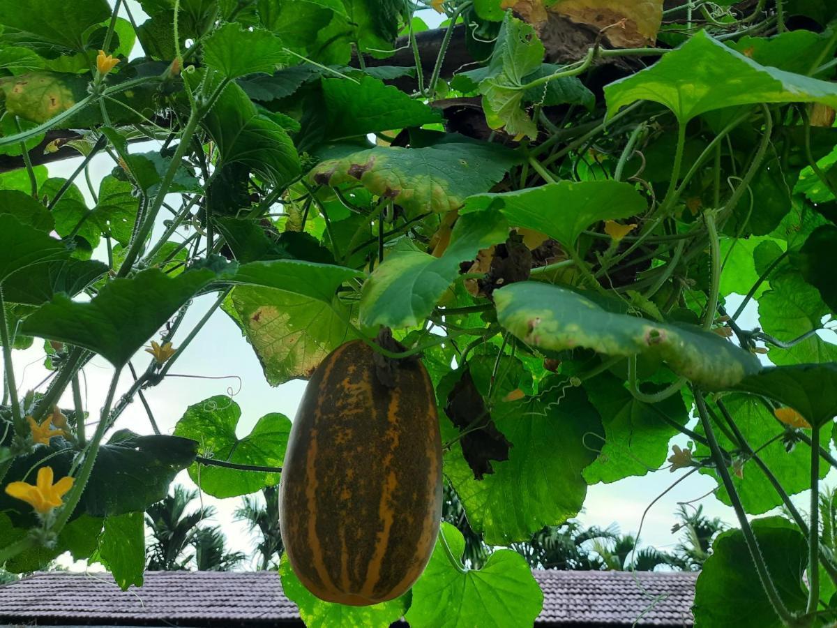 Jasmine Land Homestay Udupi