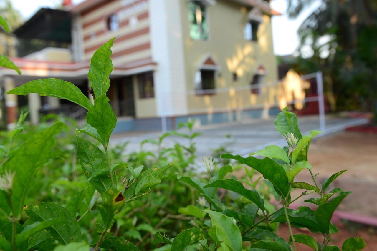 Jasmine Land Homestay